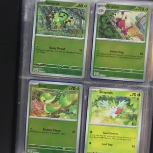 Pokémon TCG Card Binder Collection Lot