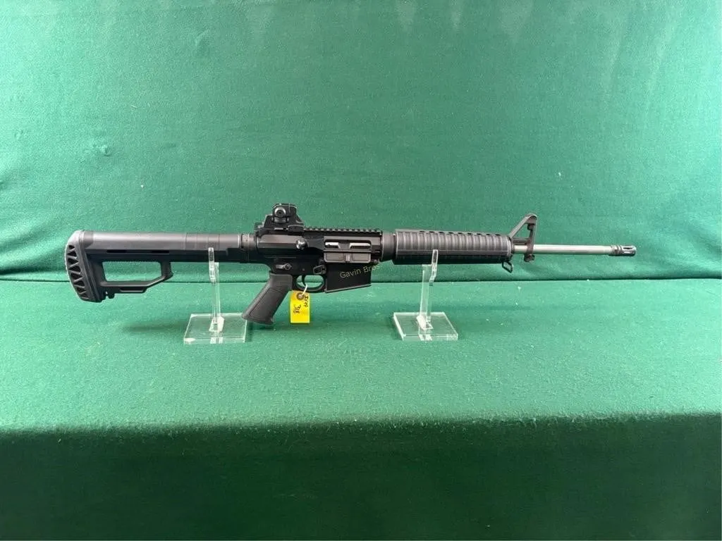 Palmetto Mdl.PA-10 308 Win Rifle