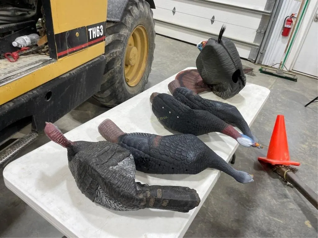 Turkey Decoys