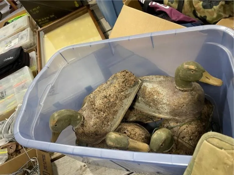 Duck Decoys & Bag