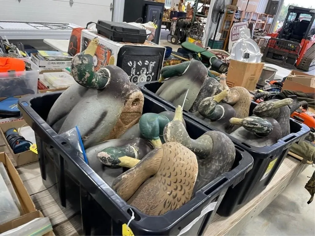 (2) totes of Vintage Otter Decoy Co Duck Decoys
