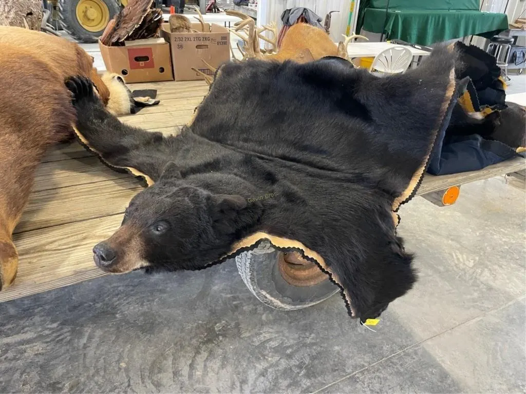 Black Bear Rug