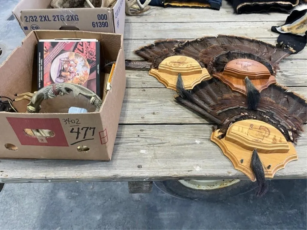 Box of Turkey Fans Mounted, Figures, D�cor