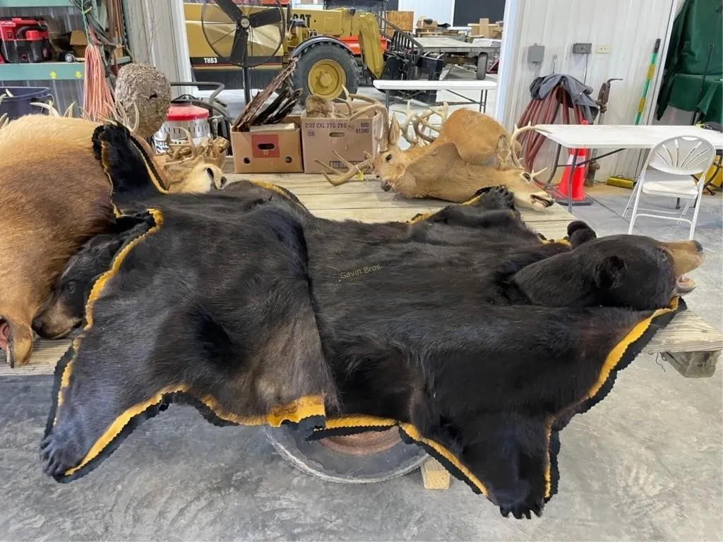 Black Bear Rug