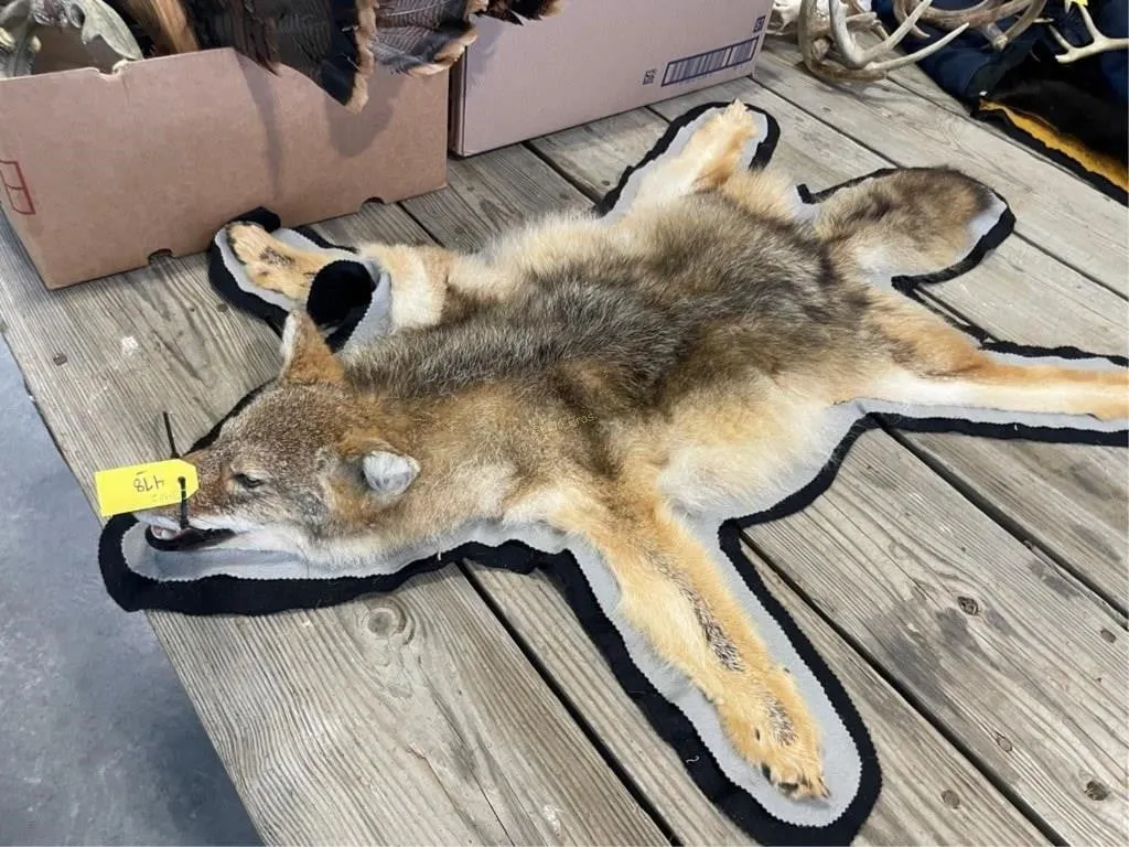Coyote Rug
