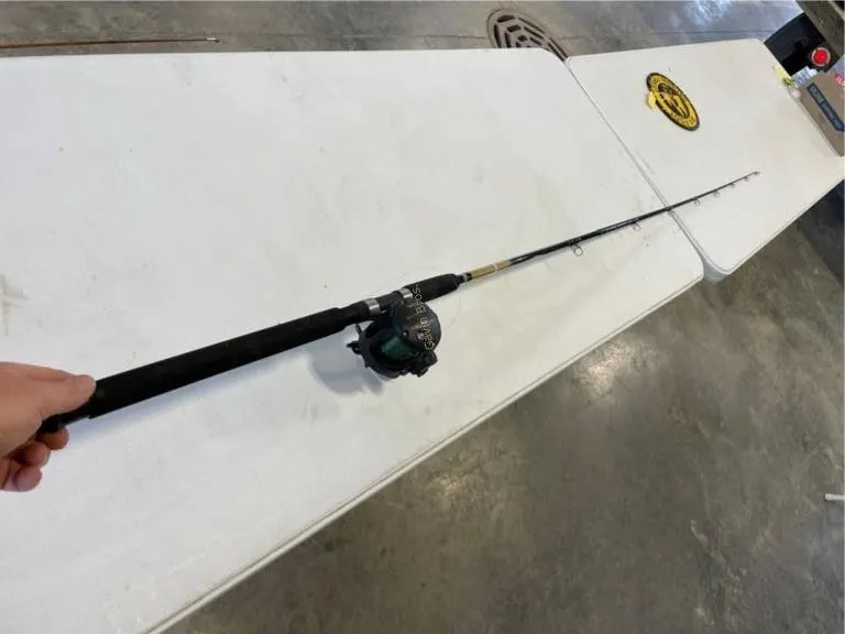 Cabela's Depth Master Rod & Reel