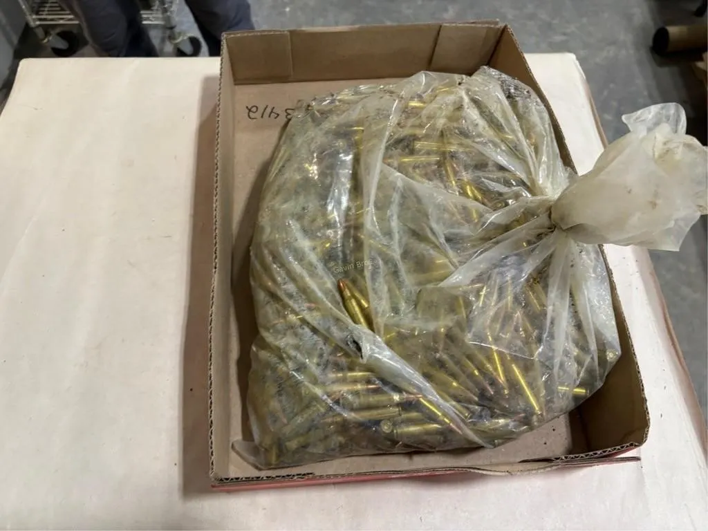 Large Bag of 223 Rem Ammo