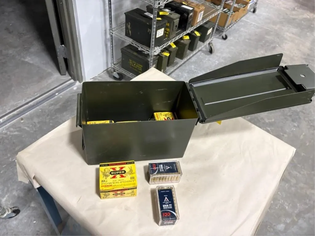 1100 +/- Rounds 22cal Ammo