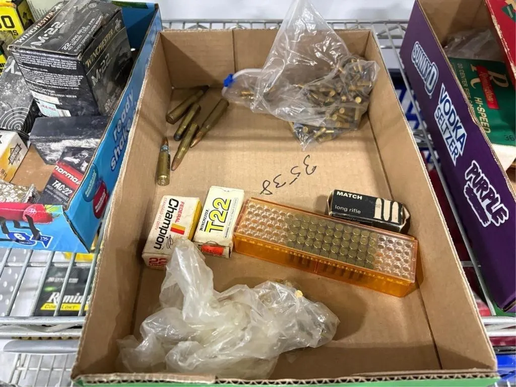 Misc 22cal Ammo