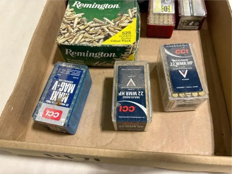 Large Lot of 22 cal Ammo