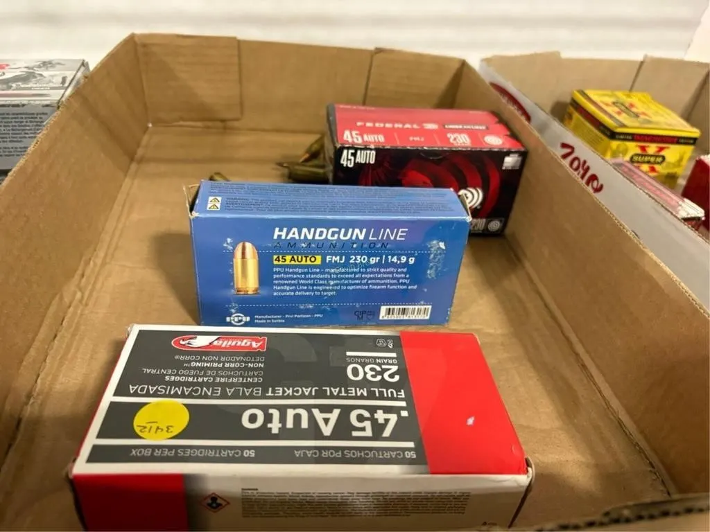 193rds 45 Auto Ammo & other