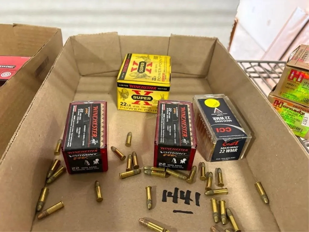 22 Win Mag/WMR/LR Ammo