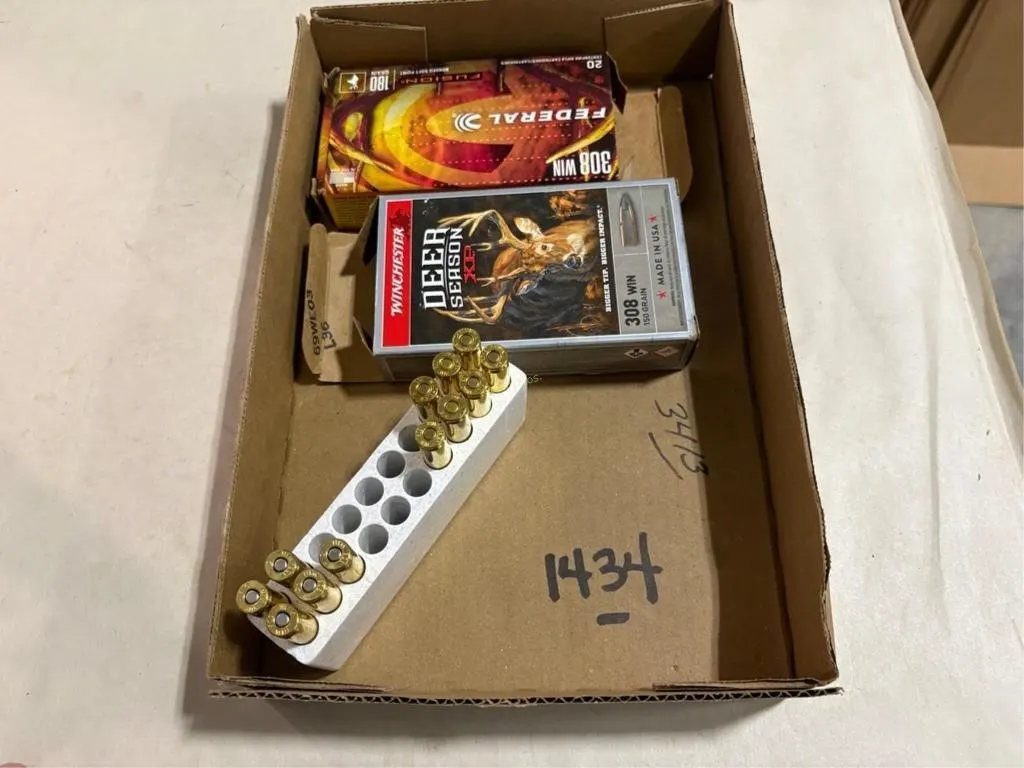 11rds 308 Win Ammo