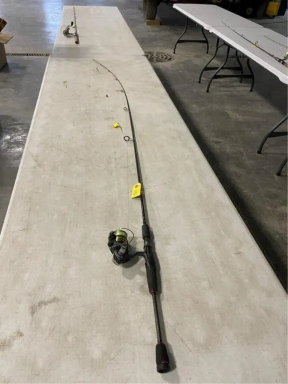 Cabela's Pro Guide Rod & other Reel