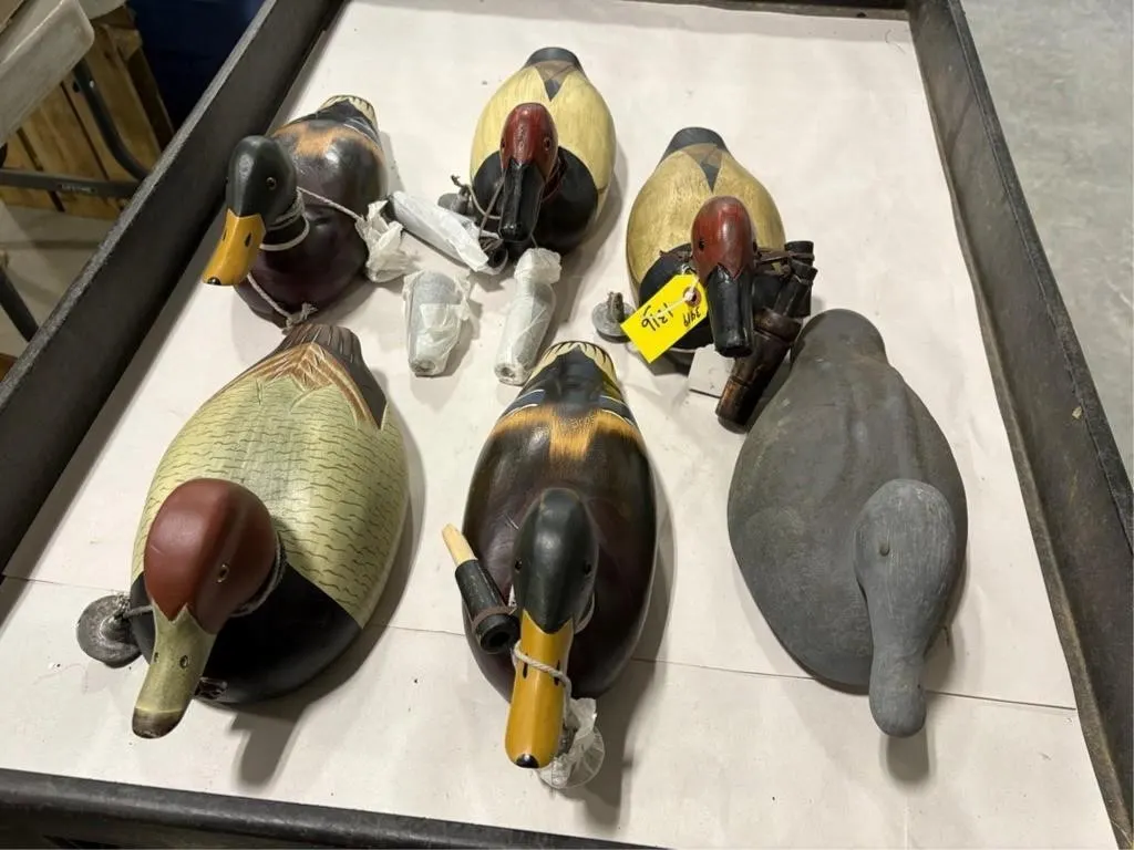 (5) Wilderness/Wild River Duck Decoys