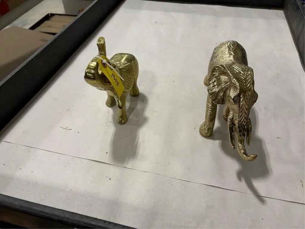 (2) Elephants