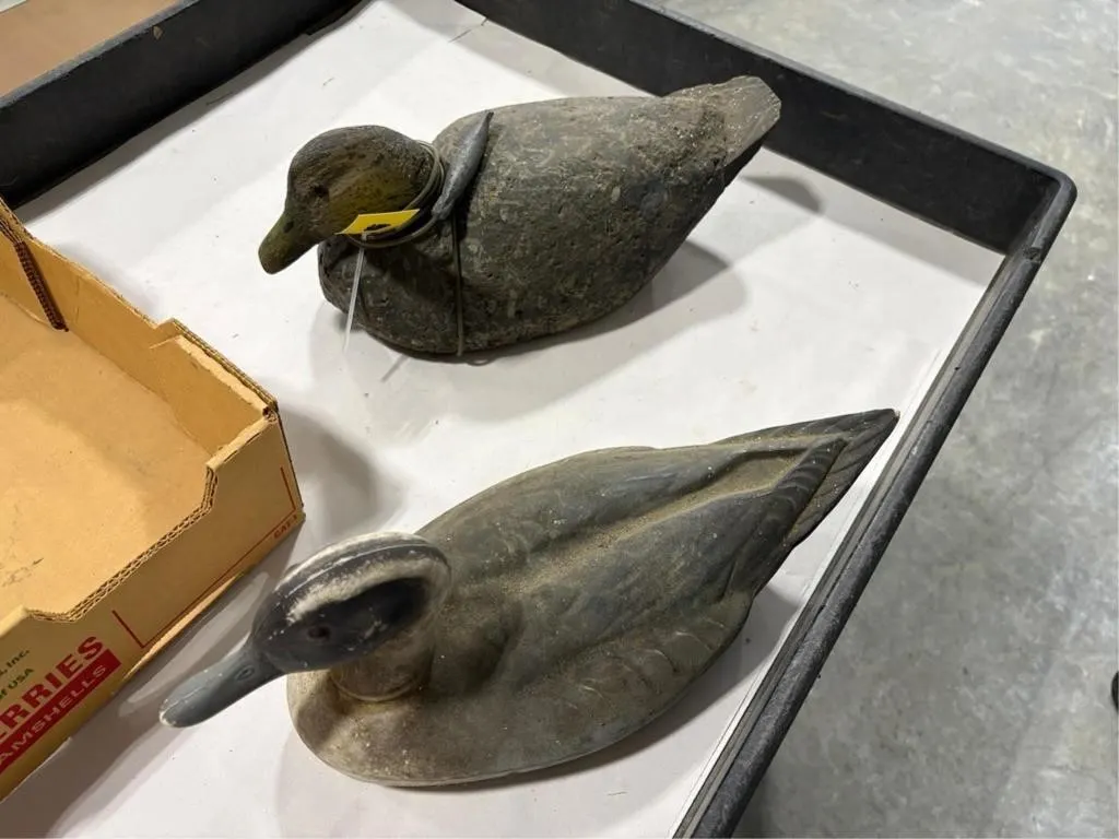 (2) Duck Decoys