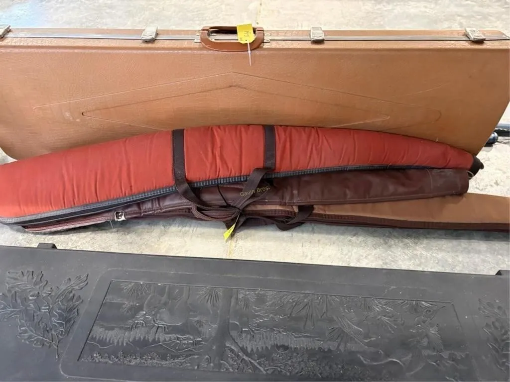 (3) Soft Gun Cases