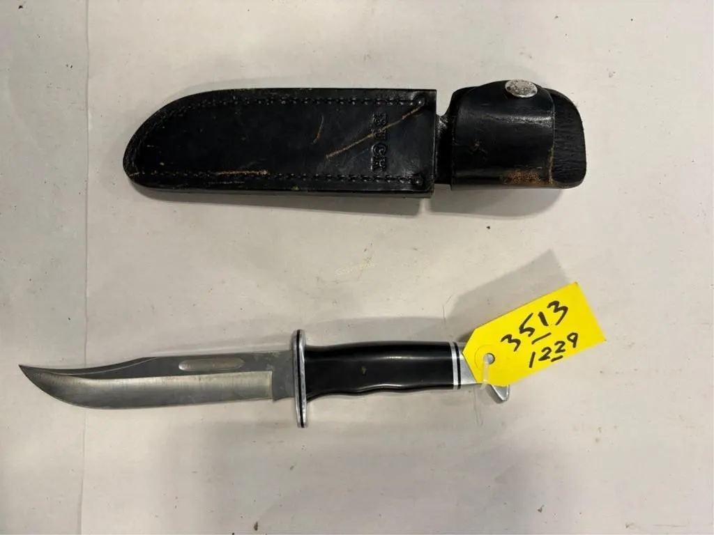 Buck 119+ Knife