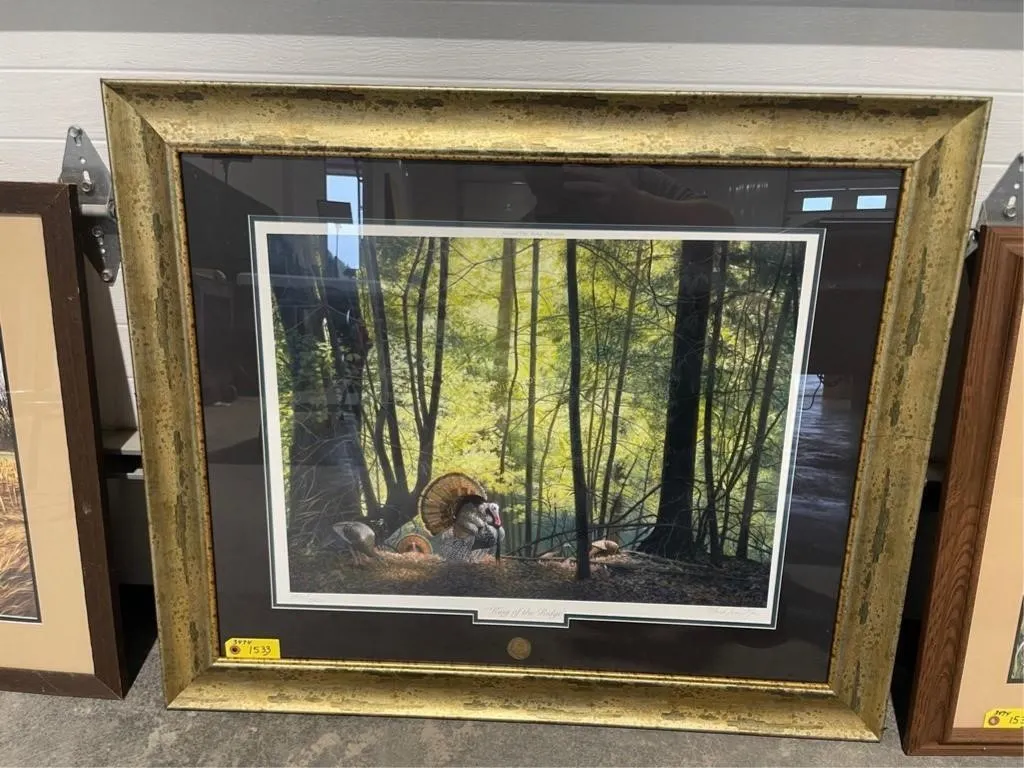 Turkey Print by Noe (31X37