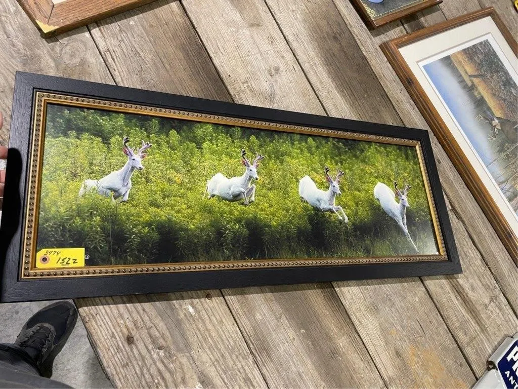 Peterson Seed metal sign (29X35)