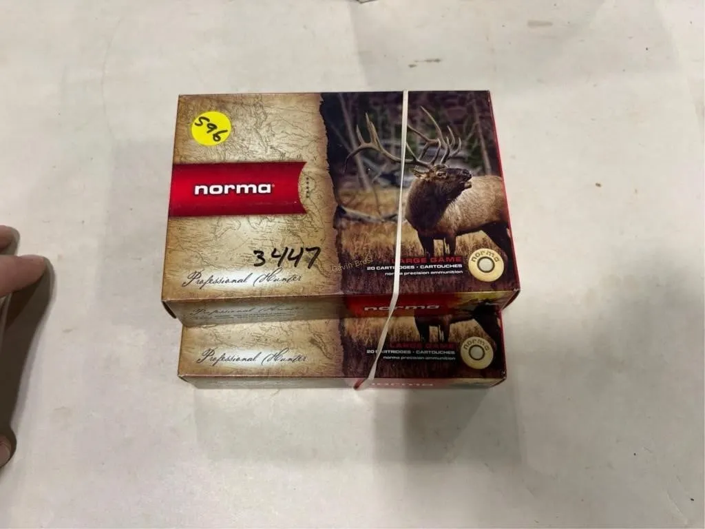 40 Rds Norma 300 WBY MAG