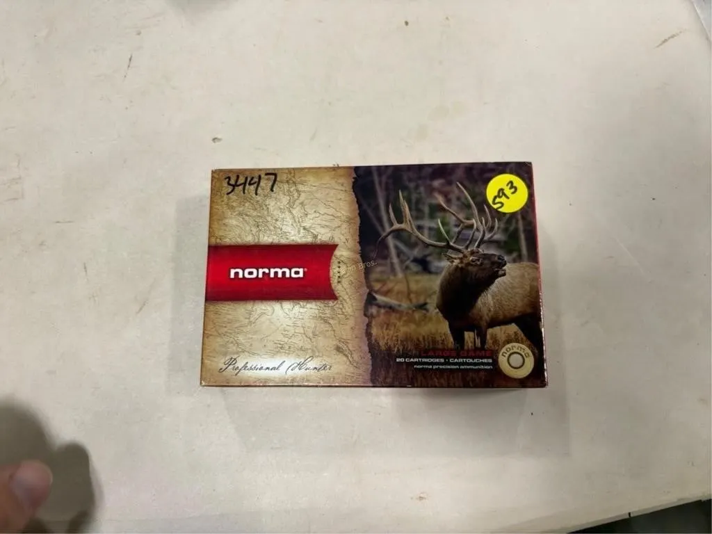 20 Rds Norma 300 WBY MAG
