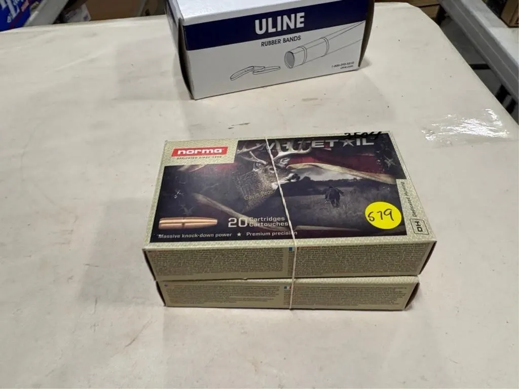 40-Rds Winchester 270 WIN