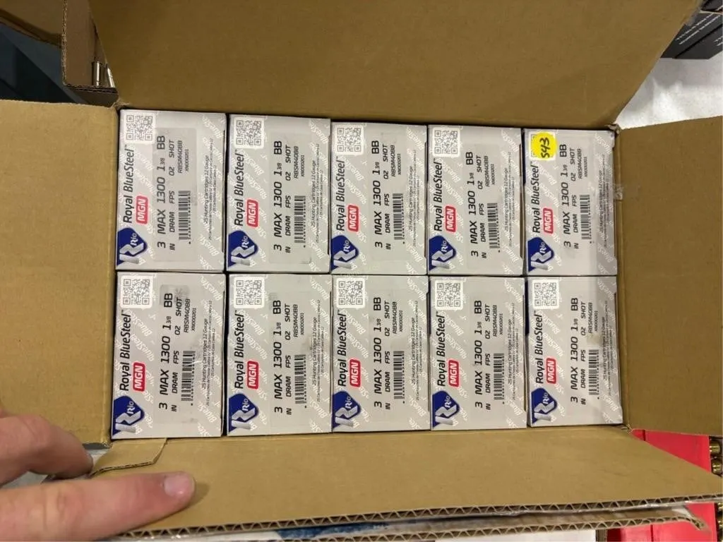 250-Royal 12 ga 3" shot gun shells BB Shot