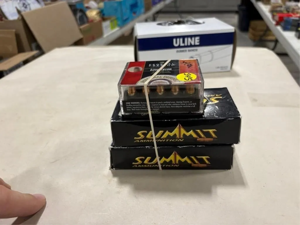 120 Rds 380 AUTO