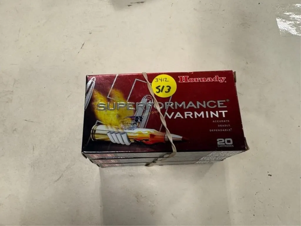 60-Rds Hornady 204 RUGER