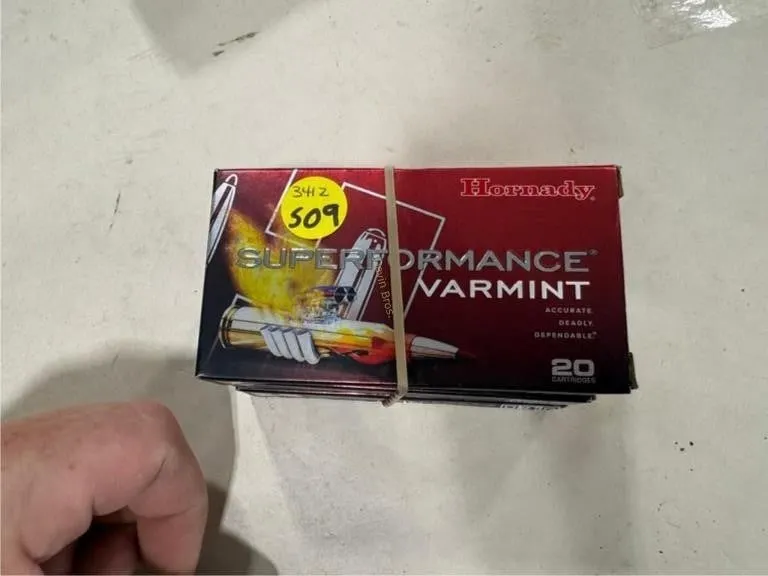 60-Rds Hornady 204 RUGER