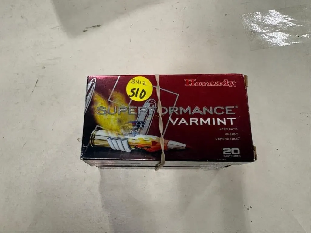 60 -Rds Hornady 204 RUGER