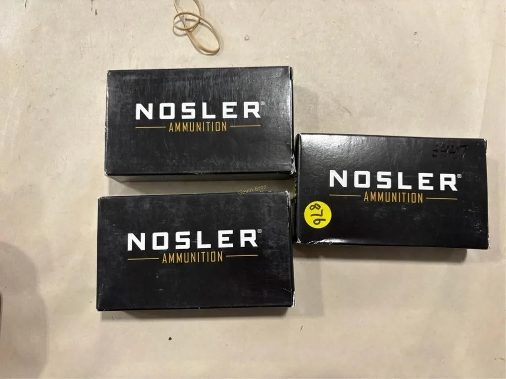 60-Rds Nosler 30-30 WIN