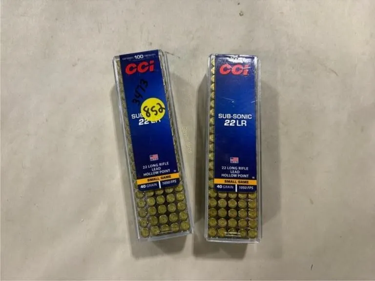 200 Rds CCI 22 LR
