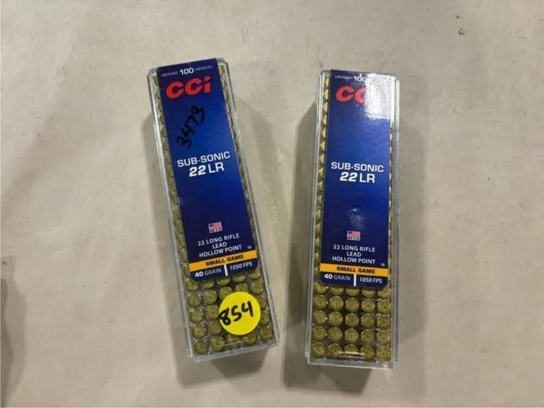 200 Rds CCI 22 LR