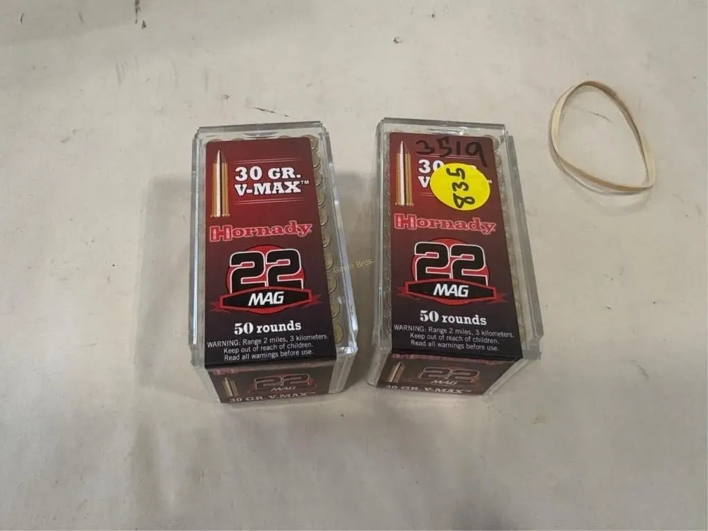 100 Rds Hornady 22 MAG