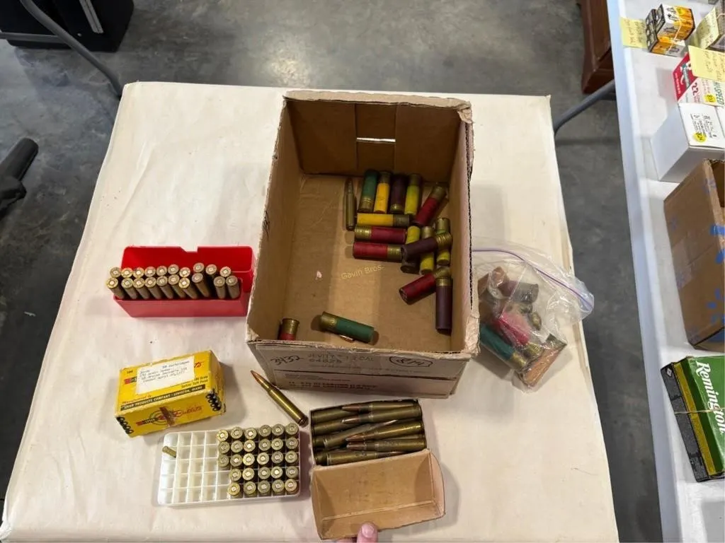 ammo; bullets; shotgun shells