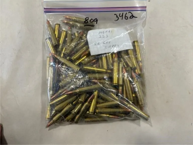 100 Rds 223