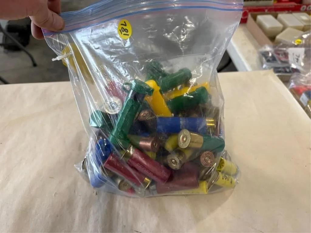bag of 12 ga shells