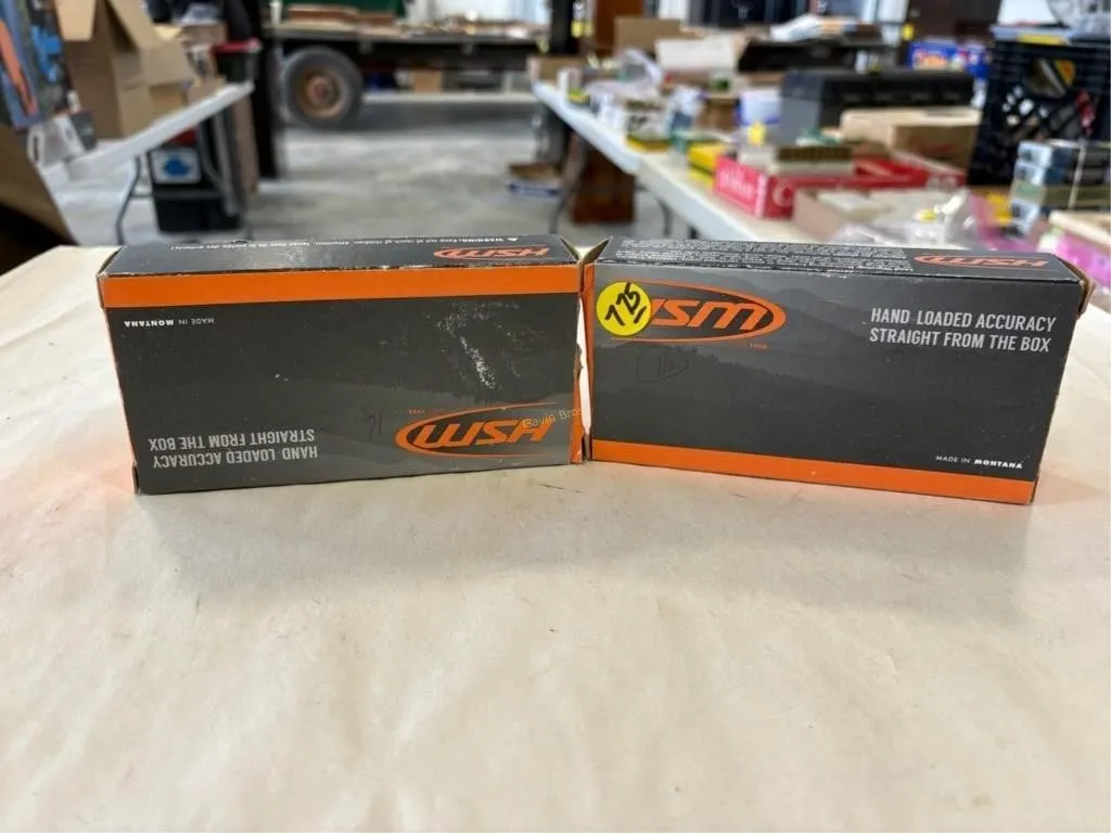 32-Rds HSM 22-250