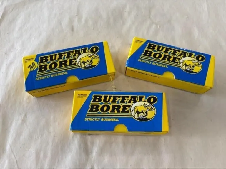 60-Rds Buffalo Bore 45-70 Govt.