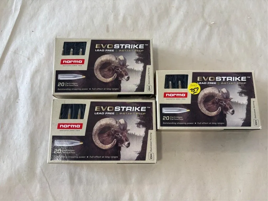 60-Rds Norma EVO Strike 30-06 Springfield