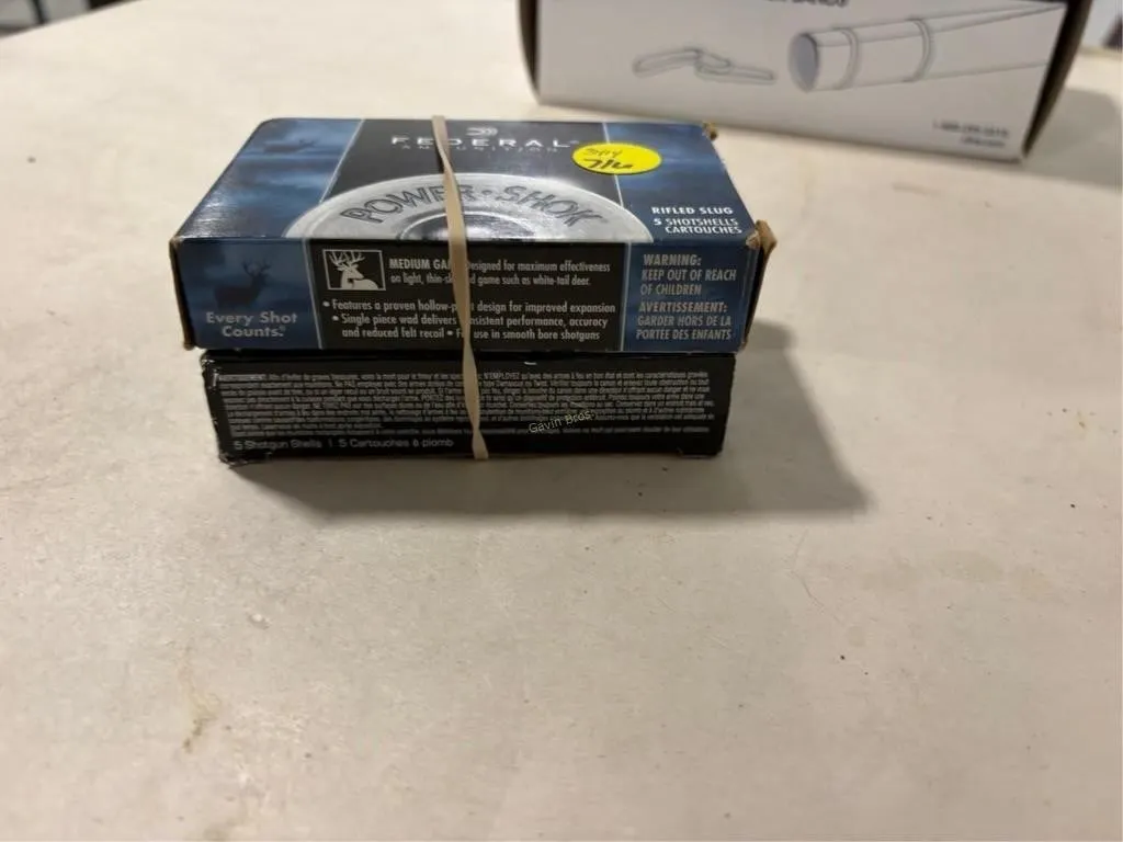 10 rds 12 ga slugs