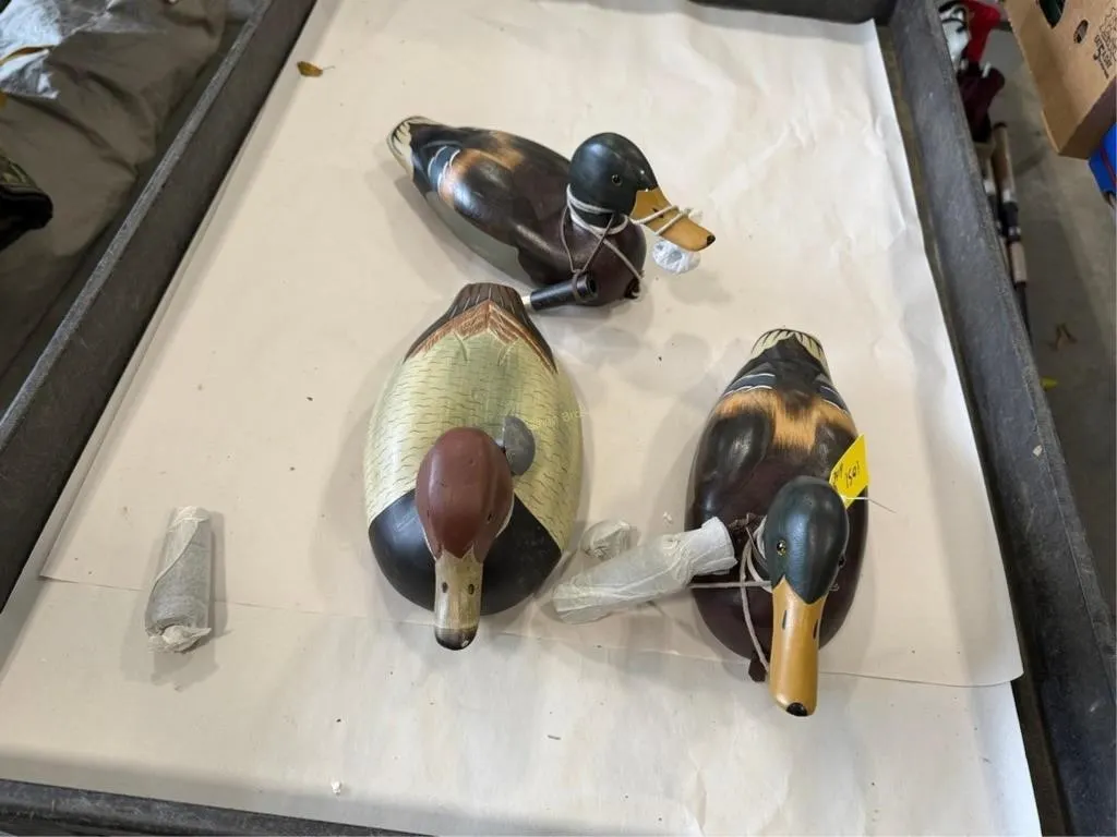 (3) Wilderness/Wild River Duck Decoys