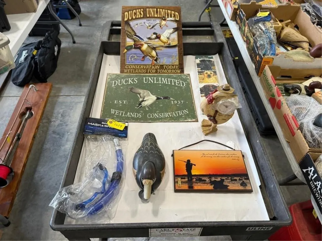Signs, Snorkel, Duck D�cor
