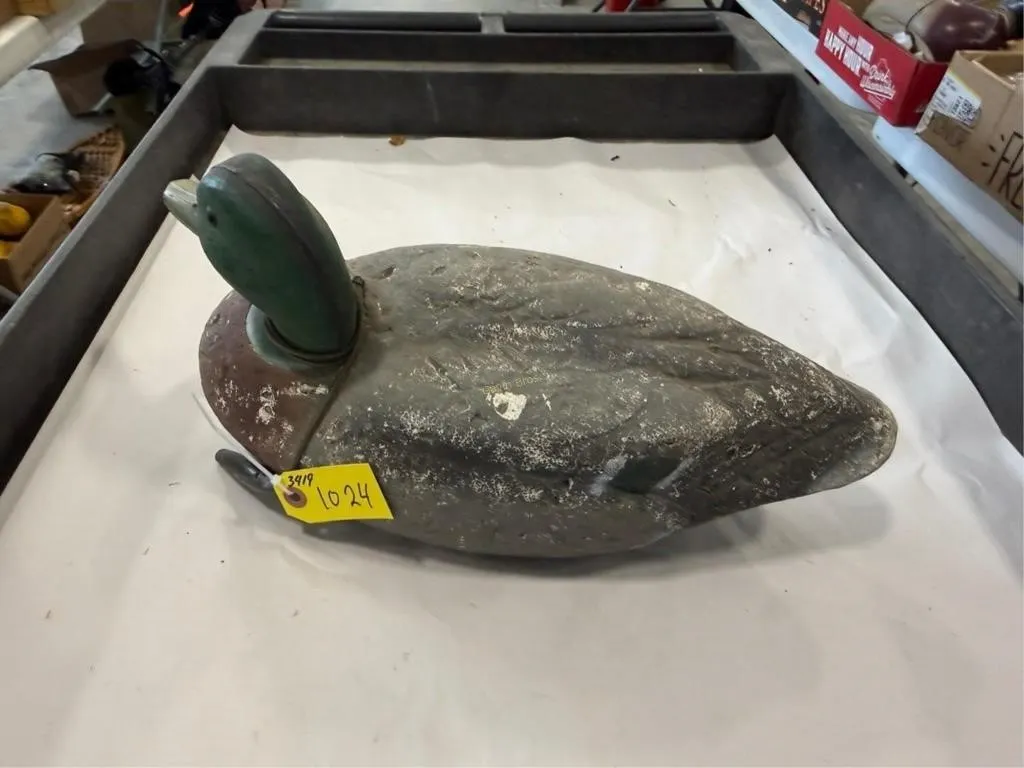 Duck Decoy