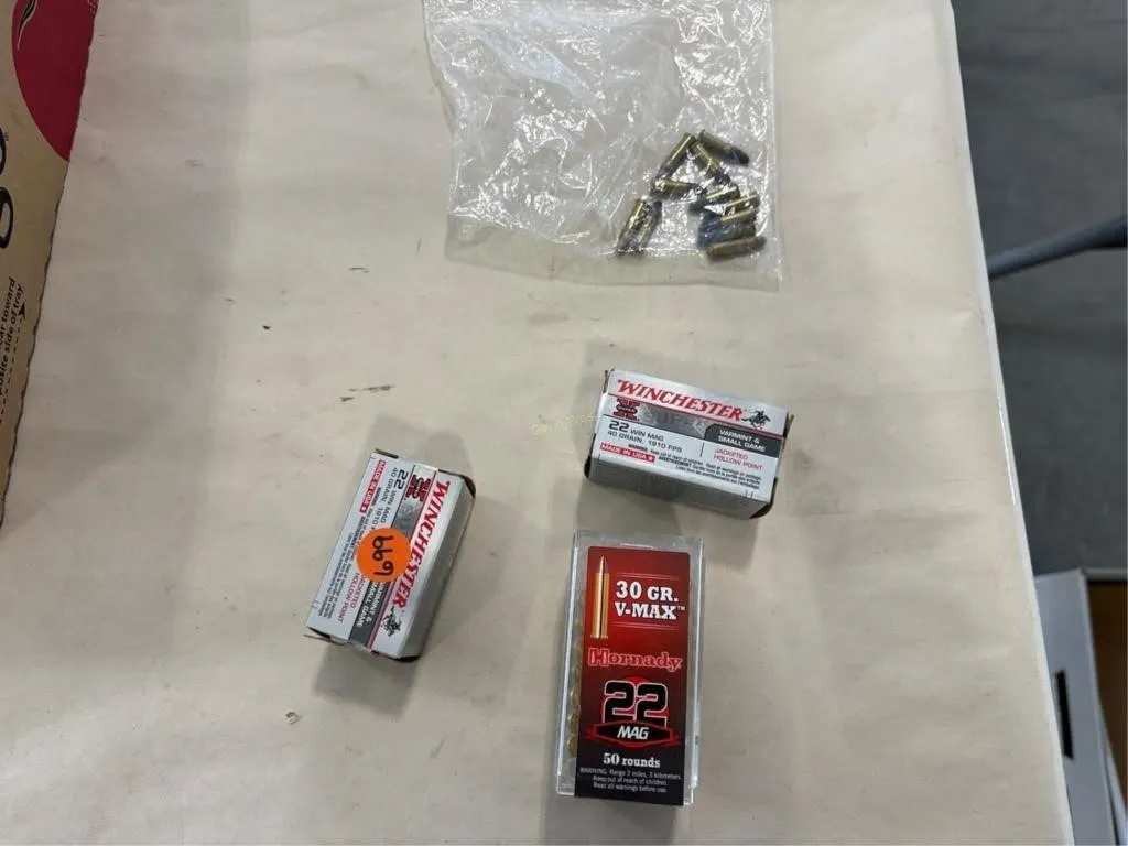 22 & 22 MAG ammo