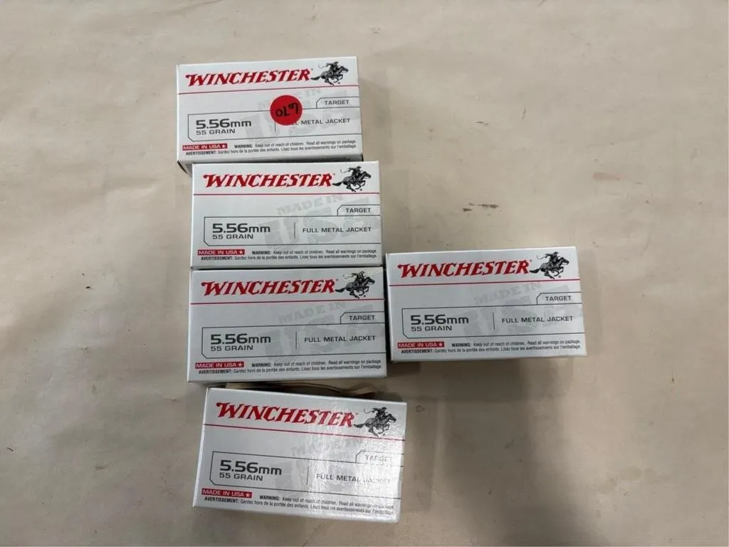 100 Rds Winchester 5.56