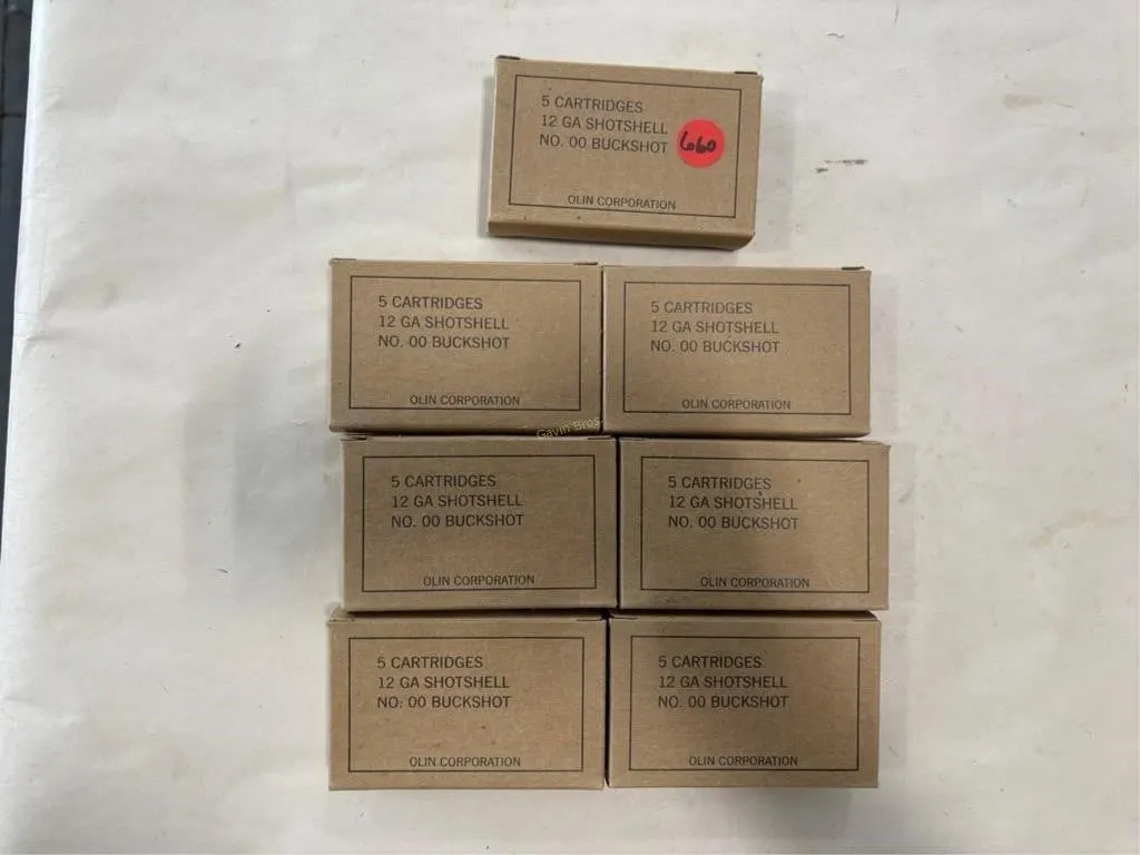35 Rds 12 Ga buckshot